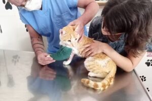 Veterinaria del Parque Dr. Daniel S Rivas