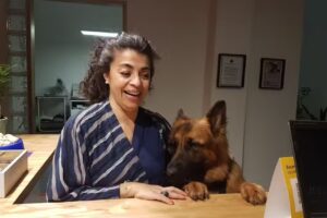 Veterinaria Del Pilar