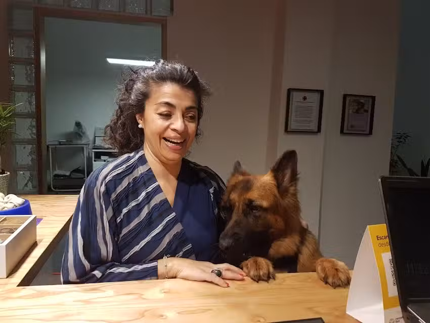 Veterinaria Del Pilar