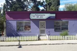 Veterinaria del Sur