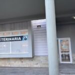 Veterinaria del sur