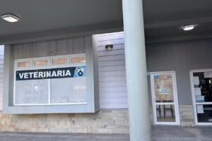 Veterinaria del sur