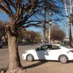 Veterinaria del Valle