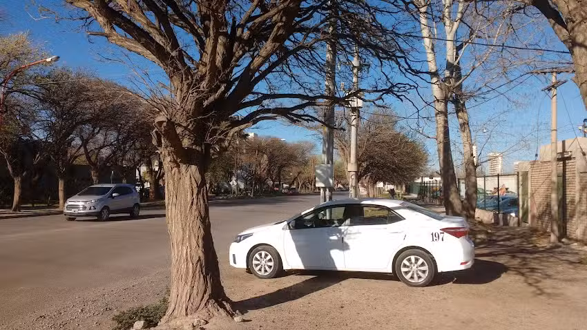 Veterinaria del Valle