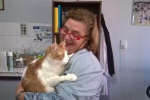 VETERINARIA DEL VALLE