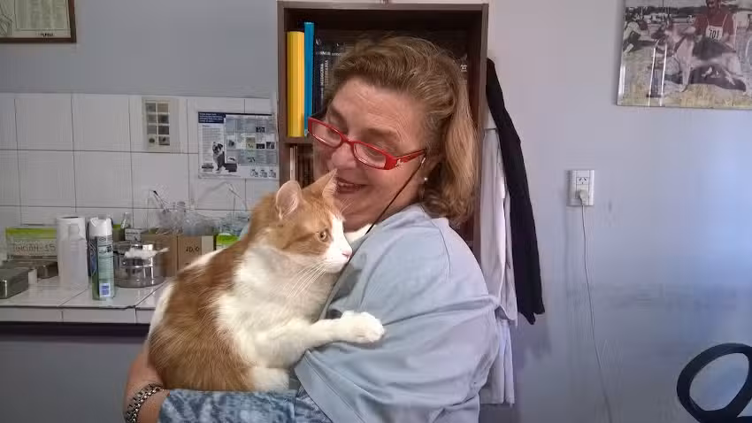 VETERINARIA DEL VALLE