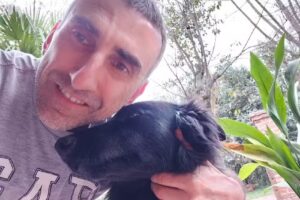 Veterinaria Diagnovet