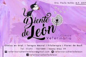 VETERINARIA DIENTE DE LEON