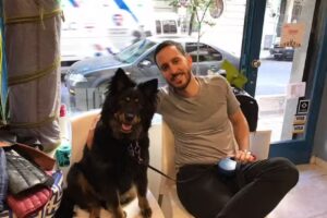 VETERINARIA DIÓGENES