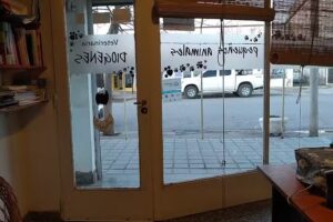 Veterinaria Di&oacute;genes