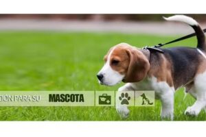 Veterinaria Don Bosco 24 Hs