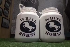 Veterinaria Don Lilo suc. Terminal de &oacute;mnibus