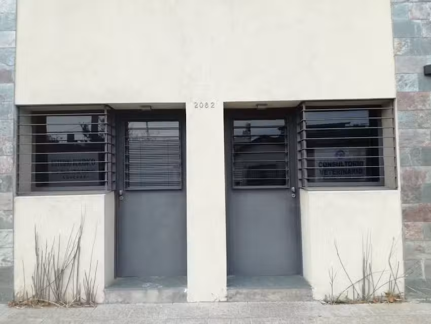 Veterinaria Dr. Berenguer