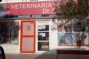 Veterinaria Dr Bulacios