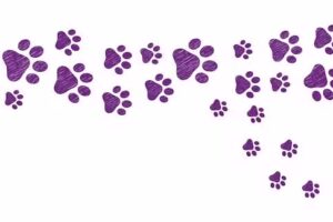 Veterinaria Dr. Carrillo