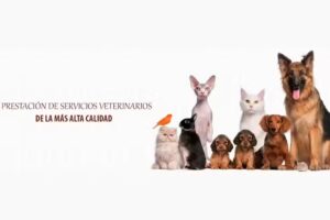 Veterinaria Dr. Ernesto García