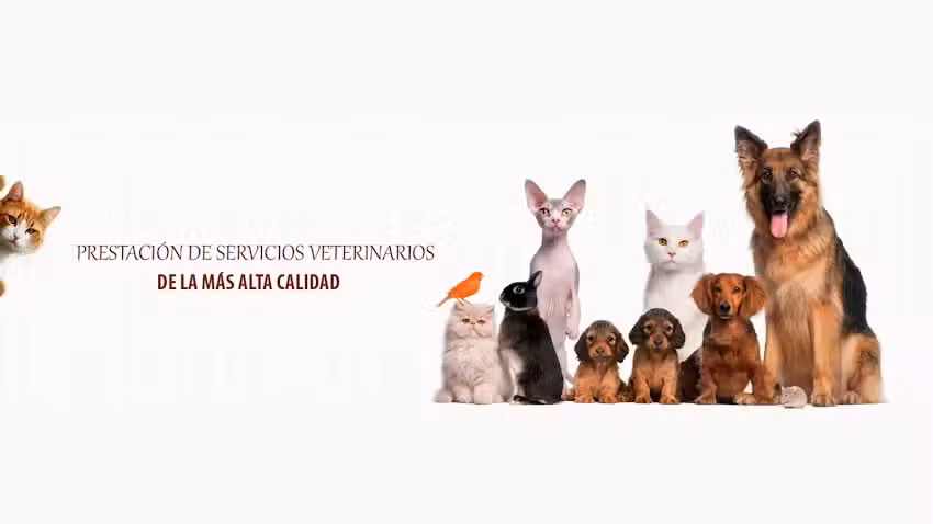 Veterinaria Dr. Ernesto Garc&iacute;a