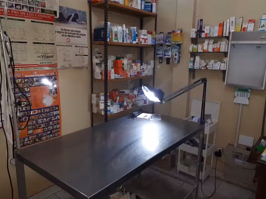 VETERINARIA &ldquo;Dr. FLORES&rdquo;