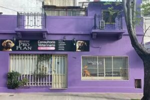 Veterinaria Dr. Gonzalo Medina