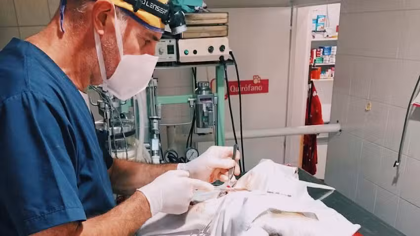 Veterinaria Dr.Hernan Rubio