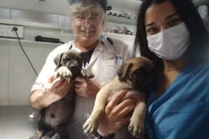 Veterinaria Dr.López