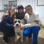 Veterinaria Dr. Mariano