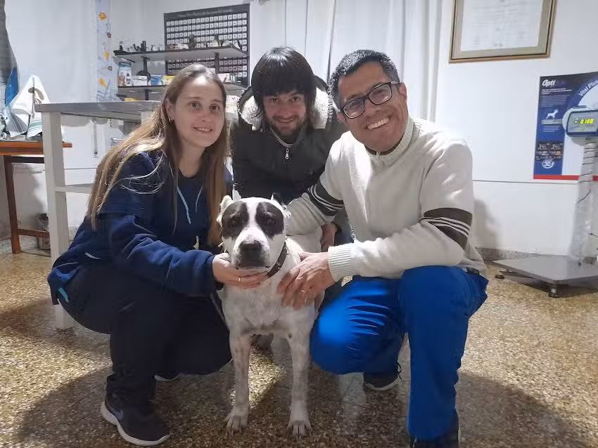 Veterinaria Dr. Mariano