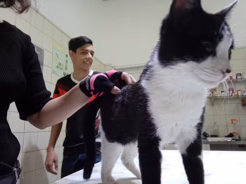 Veterinaria Dr. Oscar Roberto Garcia