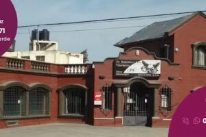 Veterinaria Dr. Remonda | Oftalmolog&iacute;a Veterinaria