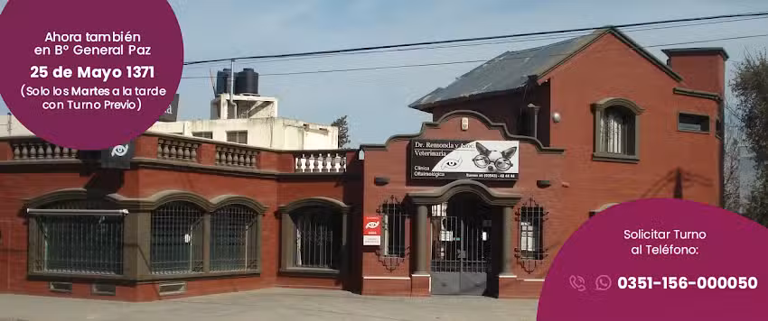 Veterinaria Dr. Remonda | Oftalmolog&iacute;a Veterinaria