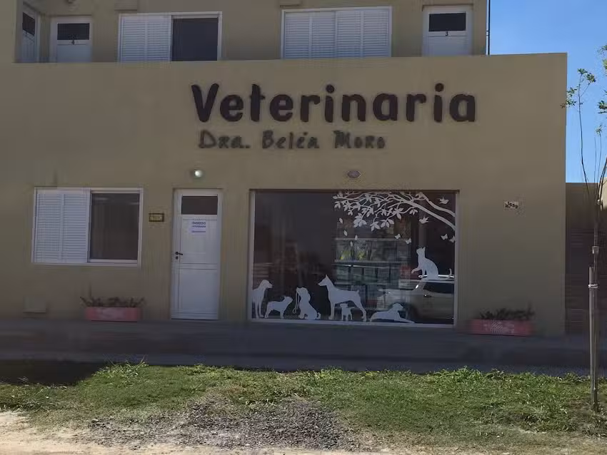 Veterinaria Dra. Bel&eacute;n Moro