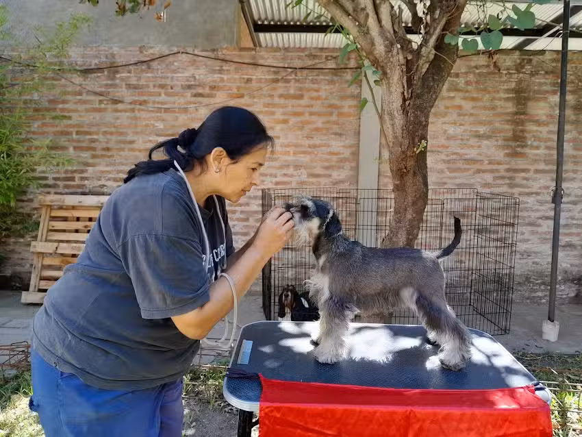 Veterinaria Dra Claudia