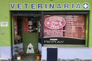 Veterinaria Dra. Flor