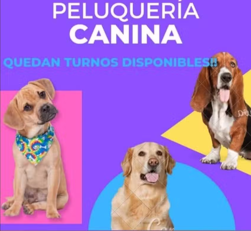 Veterinaria Dra. Natalia Antonelli &ndash; Peluquer&iacute;a Canina