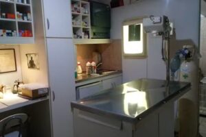 Veterinaria Dra. Tolini