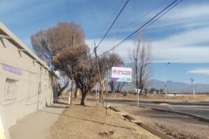 Veterinaria El Arado