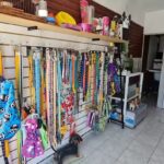 Veterinaria &ldquo;El Arca&rdquo;