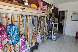 Veterinaria “El Arca”