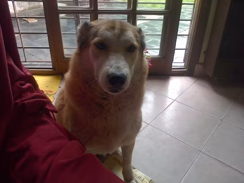 Veterinaria El Bagual