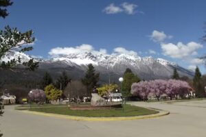 Veterinaria El Bolson