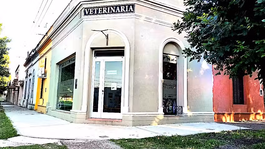 Veterinaria El Candil