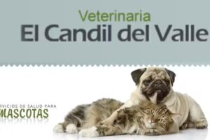 Veterinaria El Candil del Valle