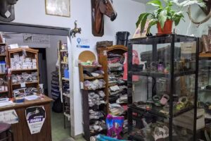 Veterinaria El Cencerro