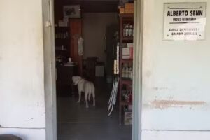 Veterinaria el Chucaro