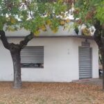 Veterinaria El Estribo