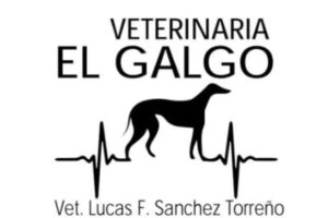VETERINARIA EL GALGO