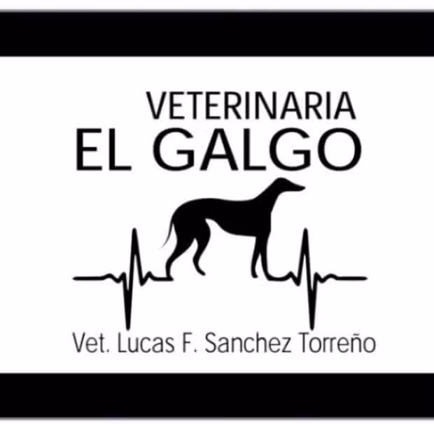 VETERINARIA EL GALGO