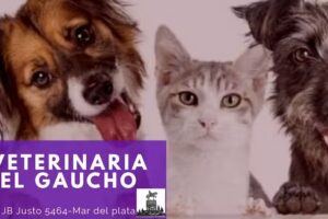 Veterinaria El Gaucho