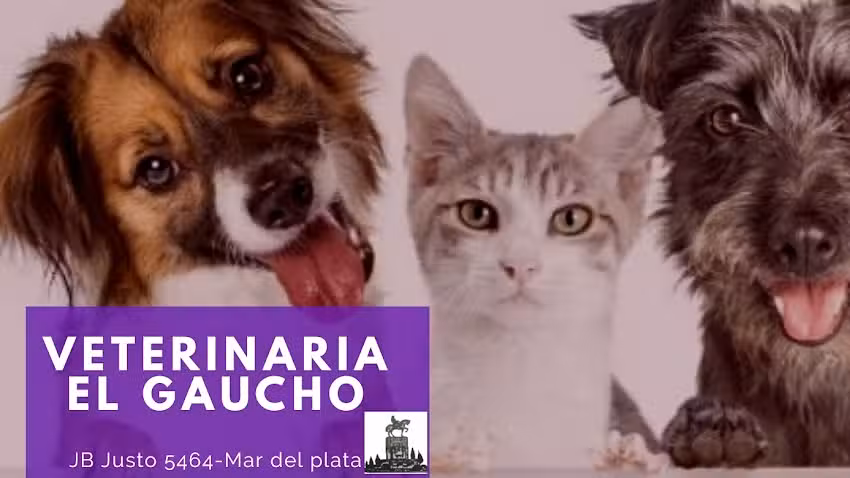 Veterinaria El Gaucho