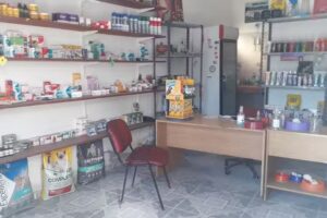 Veterinaria El Gringuito